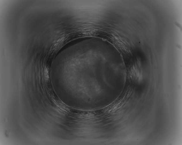 X0000093131106200709261342