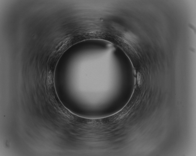 X0000093131107200709261342
