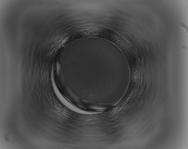 X0000093131108200709261342