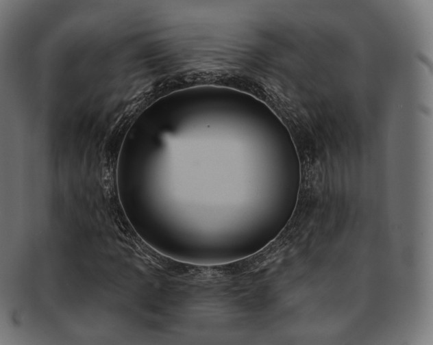 X0000093131109200709261342