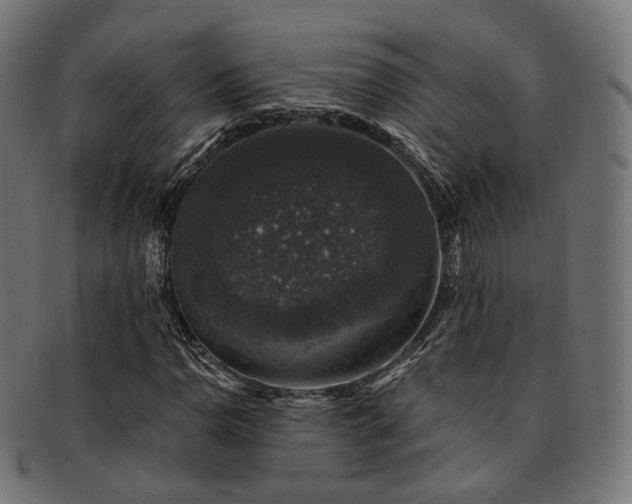 X0000093131110200709261342