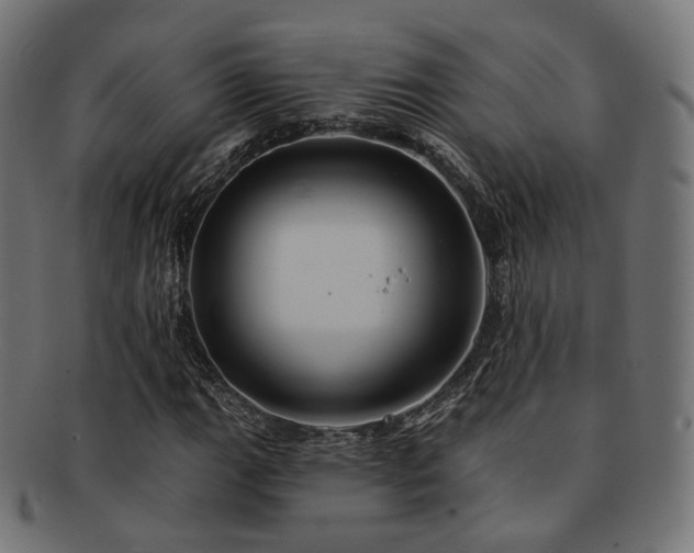 X0000093131111200709261342