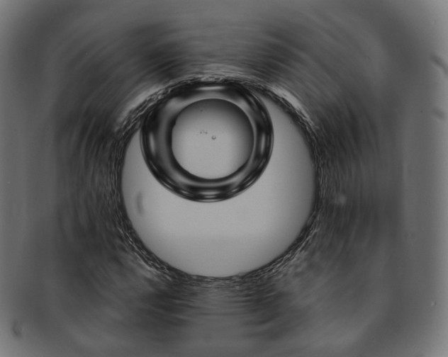 X0000093131112200709261342