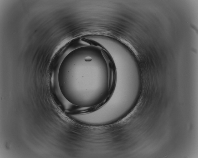 X0000093131114200709261342