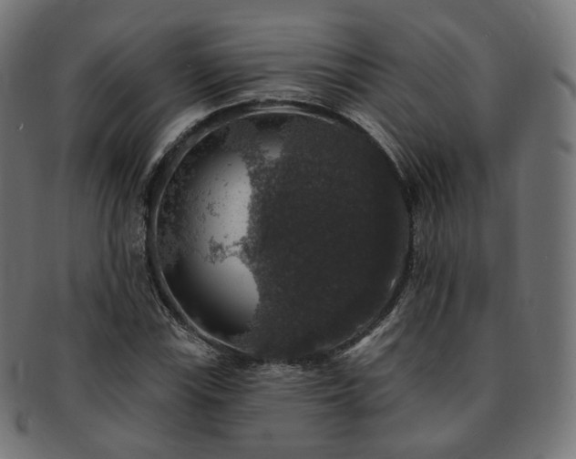 X0000093131115200709261342