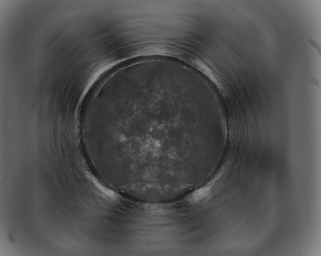 X0000093131116200709261342
