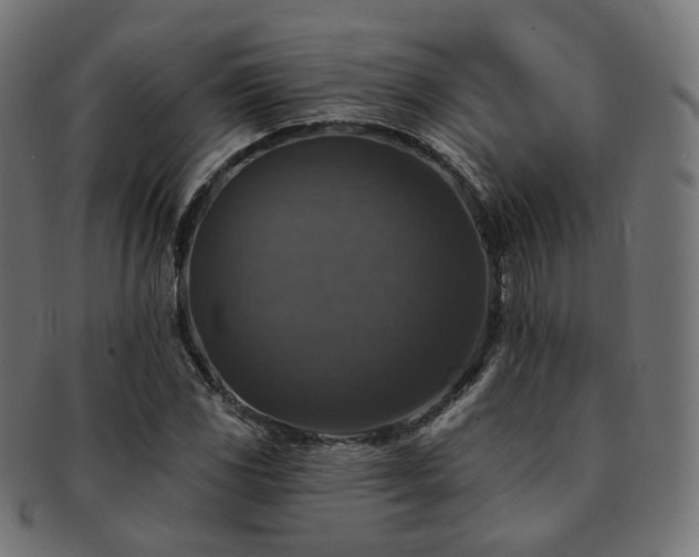 X0000093131117200709261342