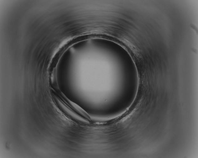 X0000093131118200709261342
