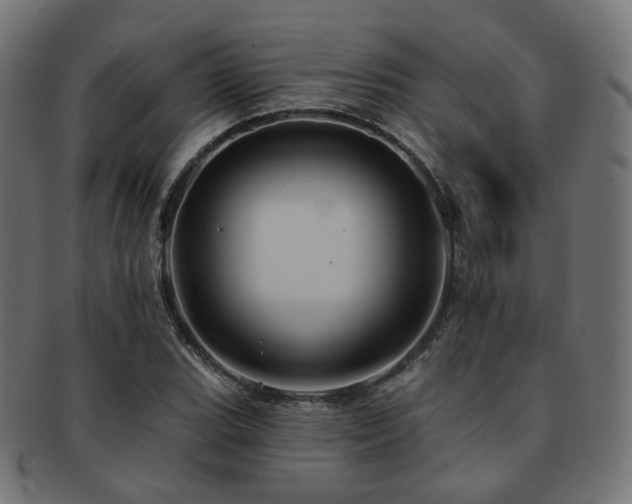 X0000093131119200709261342