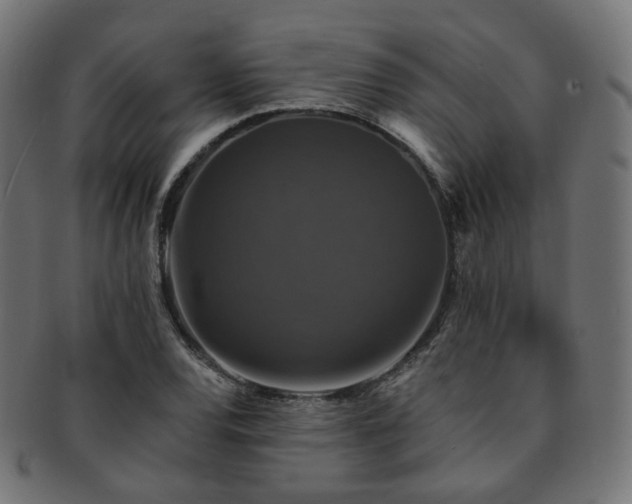 X0000093131120200709261342