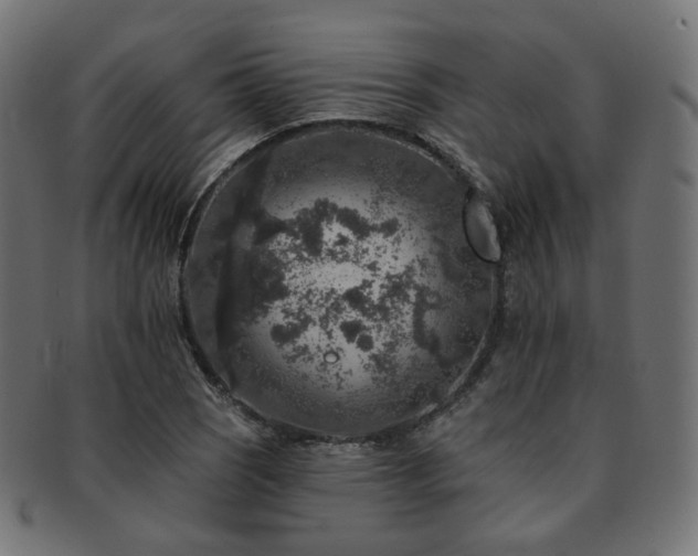 X0000093131121200709261342
