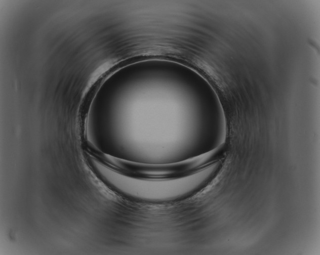 X0000093131122200709261342