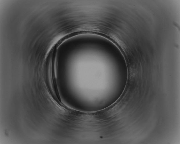 X0000093131123200709261342