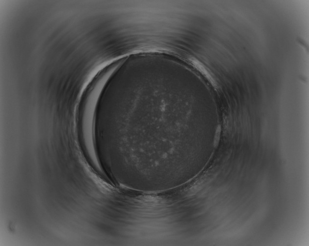 X0000093131124200709261342