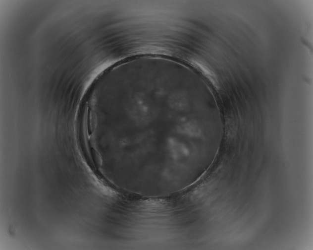 X0000093131125200709261342