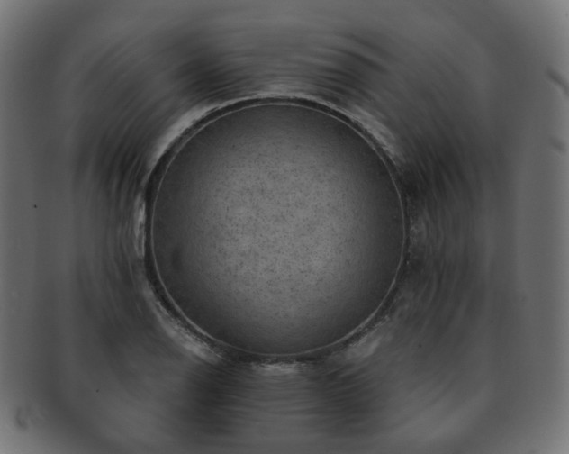 X0000093131126200709261342