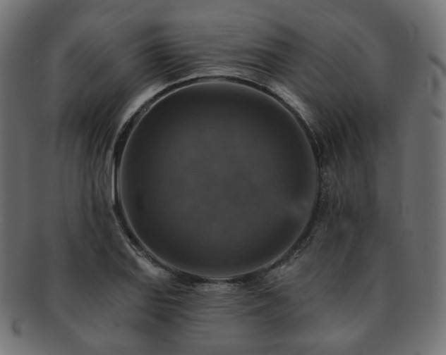 X0000093131127200709261342