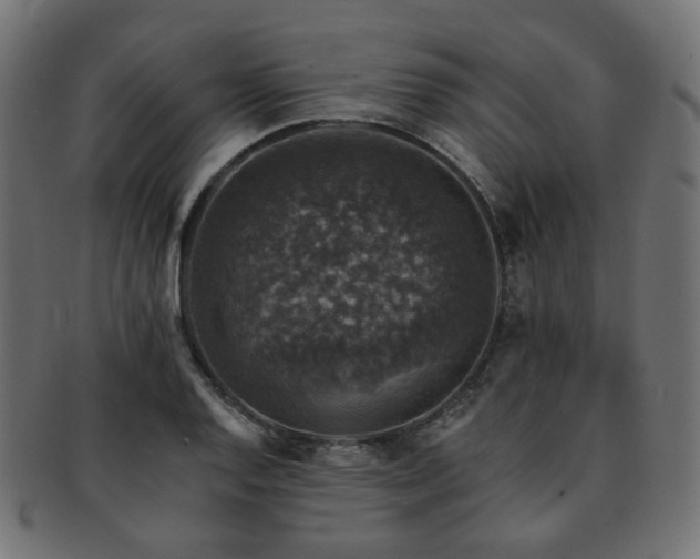 X0000093131128200709261342
