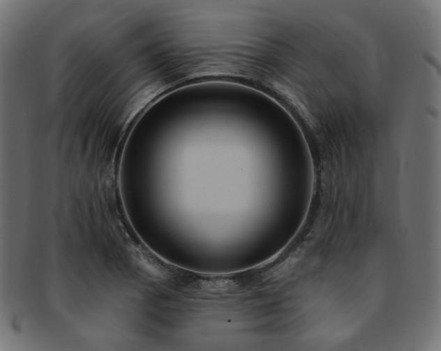 X0000093131129200709261342