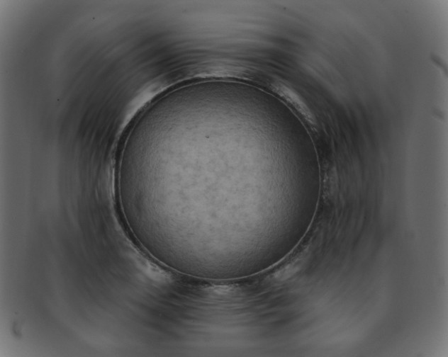 X0000093131130200709261342