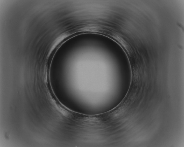 X0000093131131200709261342