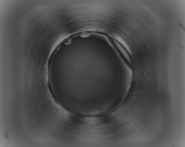 X0000093131132200709261342