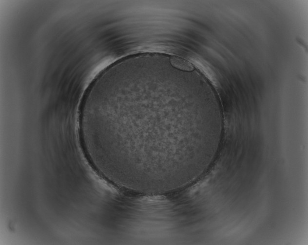 X0000093131133200709261342