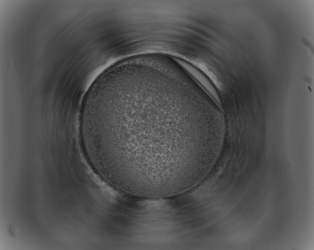 X0000093131134200709261342