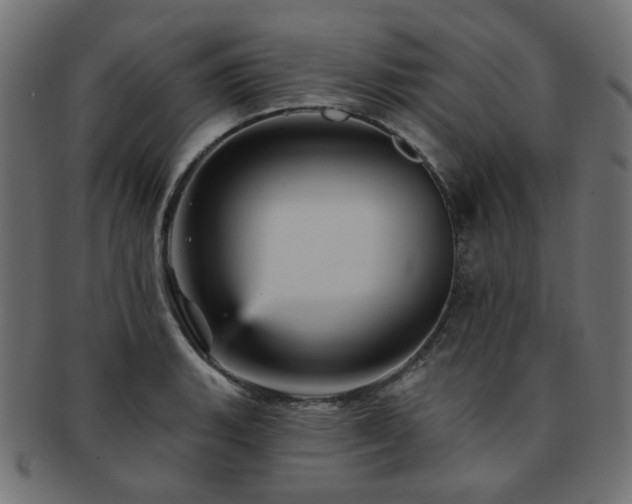 X0000093131135200709261342
