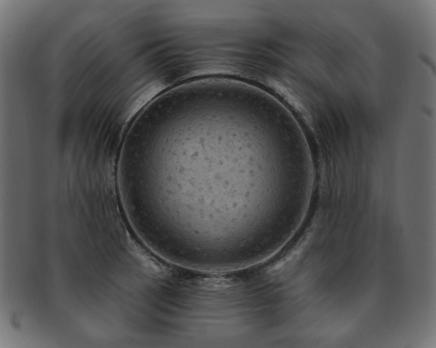 X0000093131137200709261342