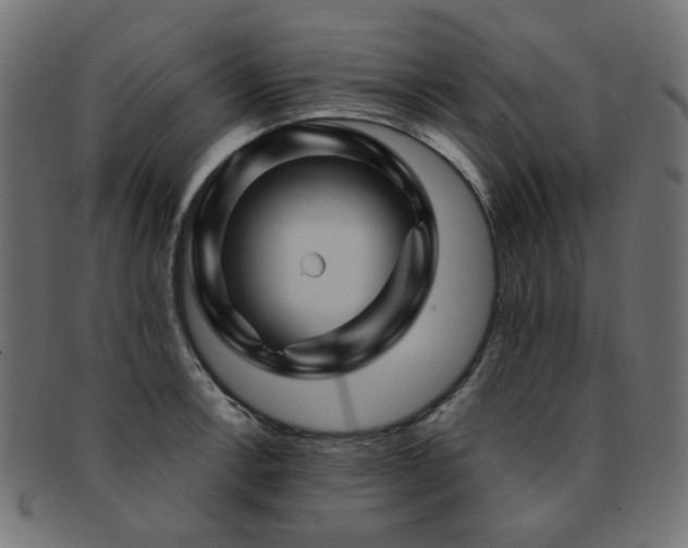X0000093131138200709261342