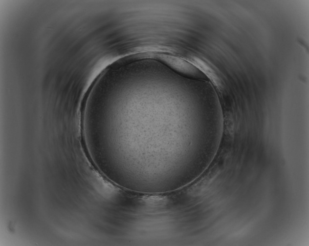 X0000093131140200709261342