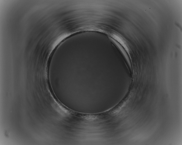 X0000093131141200709261342