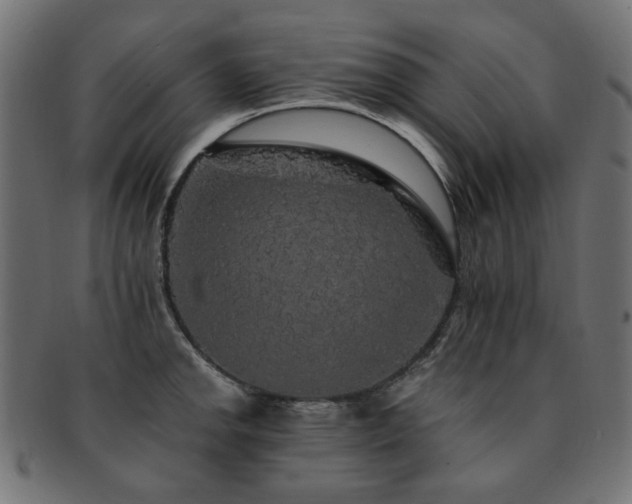 X0000093131142200709261342