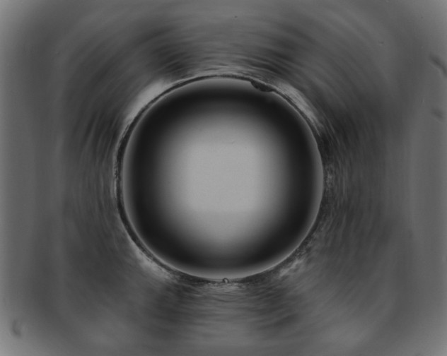 X0000093131143200709261342