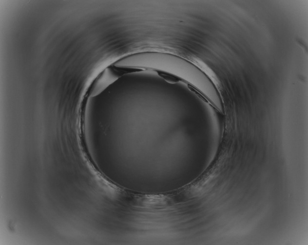 X0000093131144200709261342
