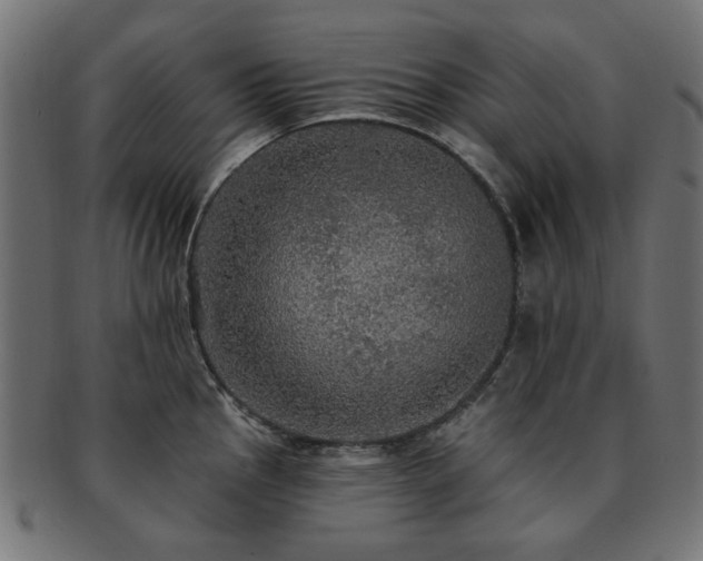 X0000093131145200709261342
