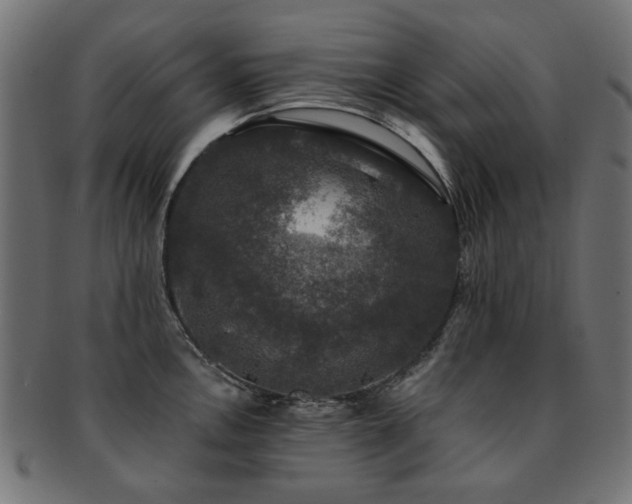 X0000093131146200709261343