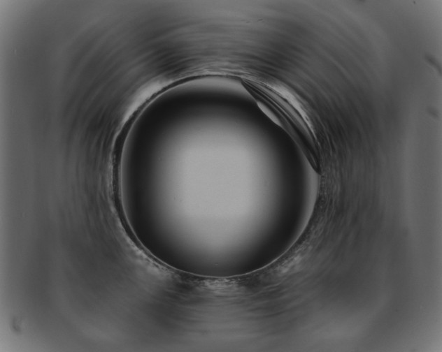 X0000093131147200709261343