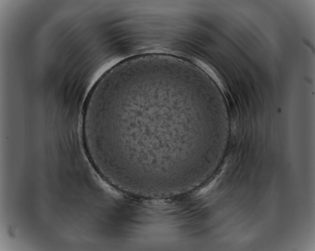 X0000093131149200709261343