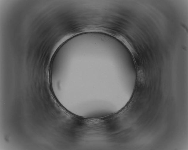 X0000093131150200709261343