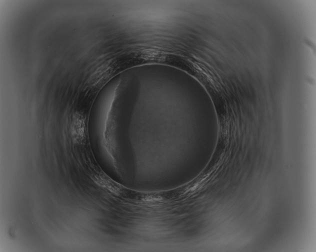 X0000093131154200709261342