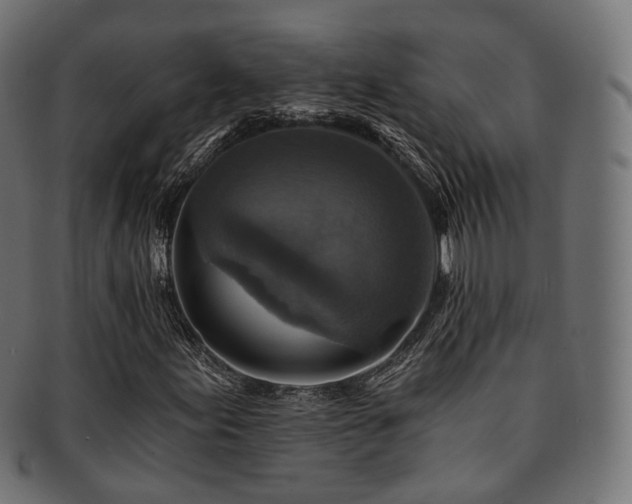X0000093131155200709261342