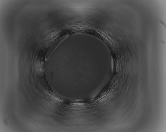 X0000093131156200709261342