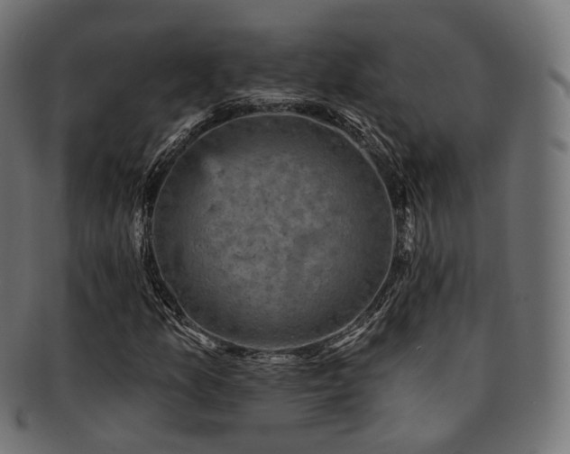X0000093131157200709261342