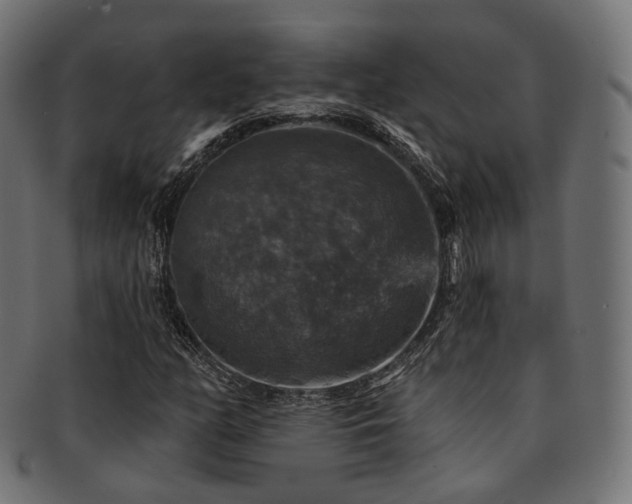 X0000093131158200709261342