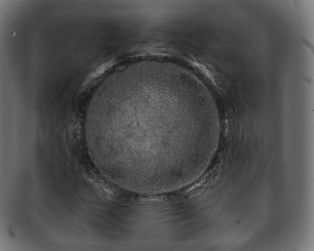X0000093131159200709261342