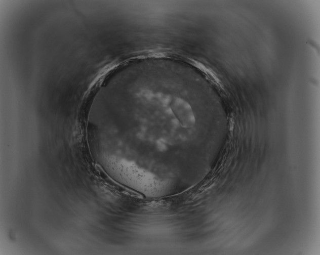 X0000093131160200709261342