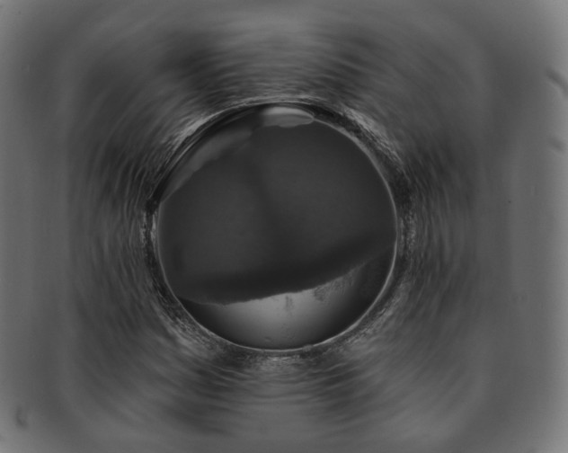 X0000093131161200709261342