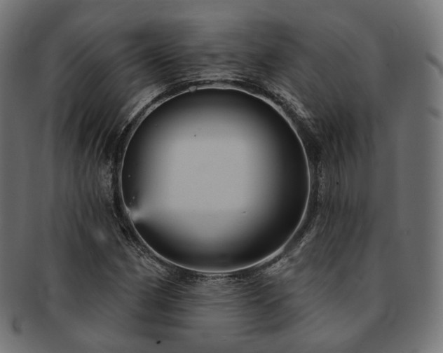 X0000093131162200709261342